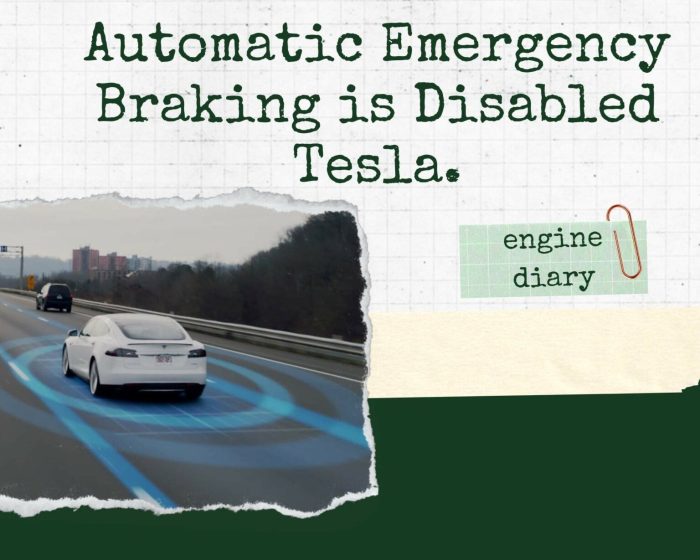 Tesla emergency braking prevent accident