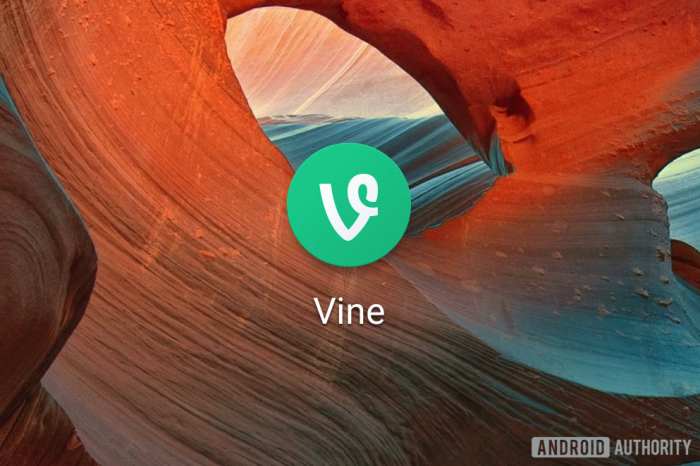 Vine live on as camera app